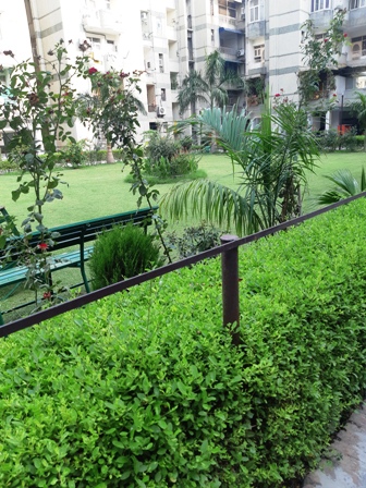 Sector 13, plot 6, Mahabhadra Kali Apartment